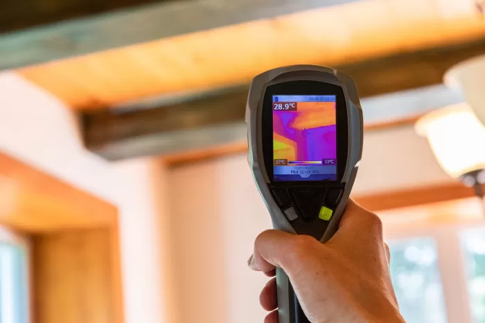 Thermal Moisture Detection